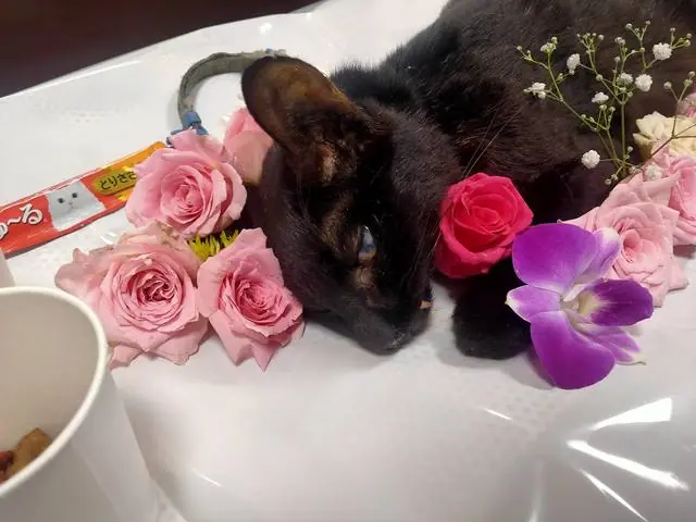 花にかこまれたユリ