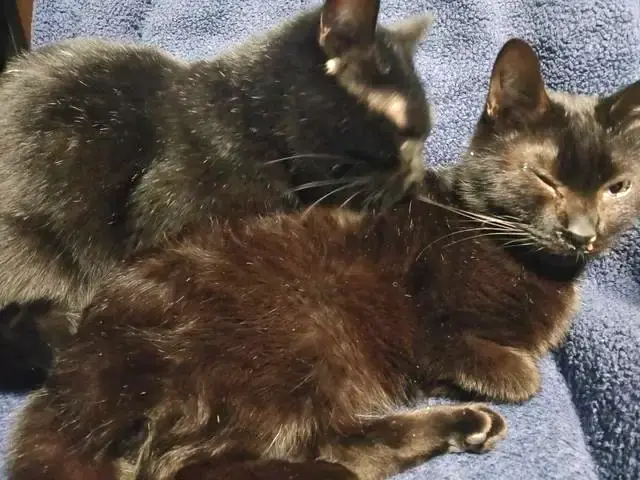 ユリとカナ 3