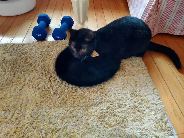 ユリとカナ 7
