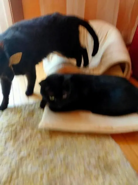 ユリとカナ 16