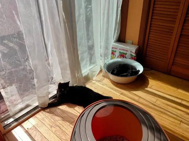 ユリとカナ 19