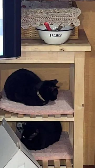 ユリとカナ 41