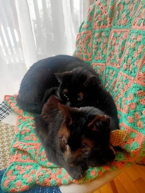 ユリとカナ 62