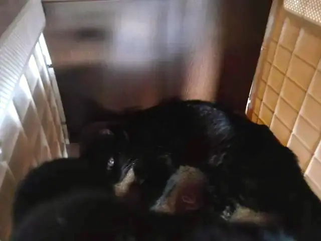 ユリとカナ 78