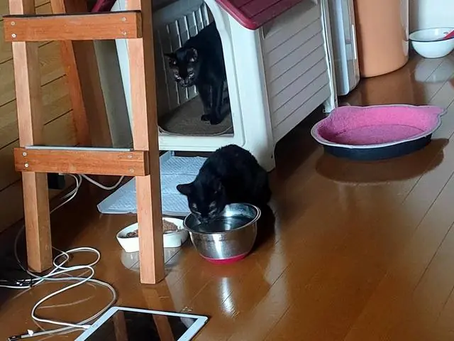 ユリとカナ 79