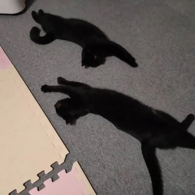 ユリとカナ 86