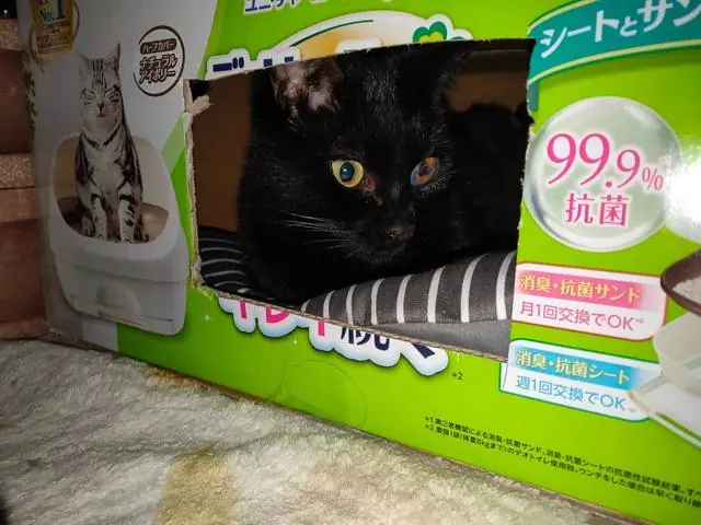 ユリとカナ 88