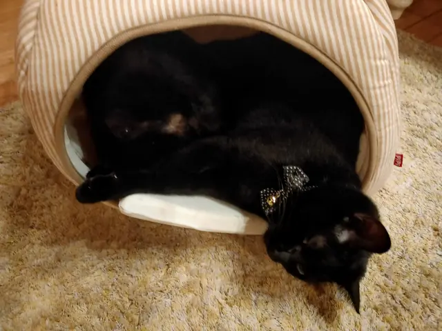 ユリとカナ