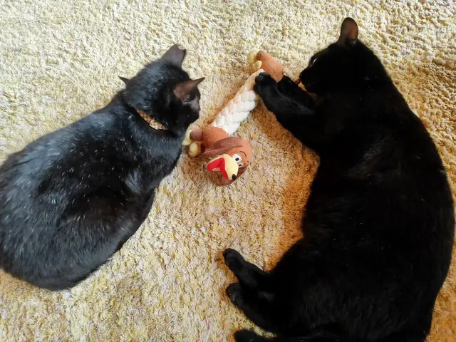 ユリとカナ