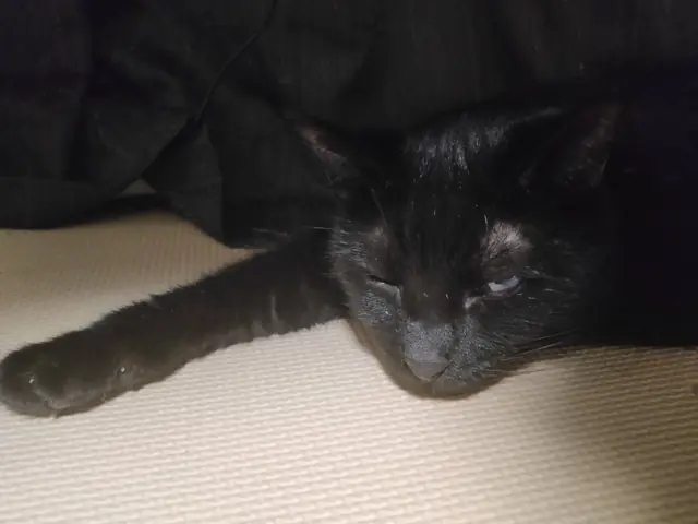 ユリとカナ