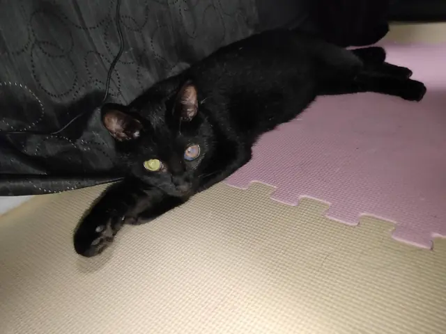 ユリとカナ