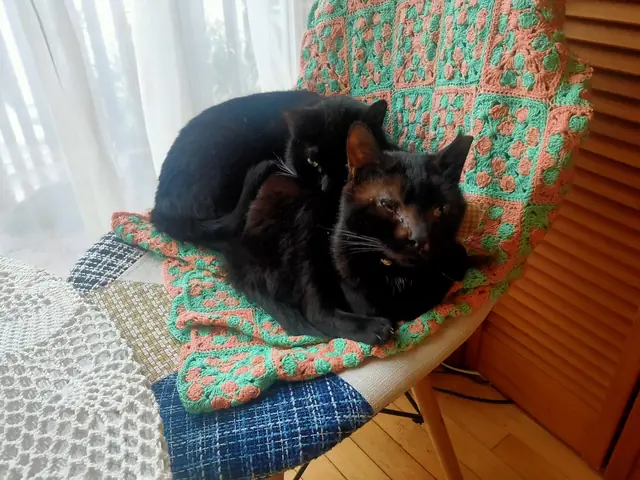 ユリとカナ