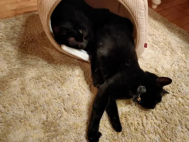 ユリとカナ