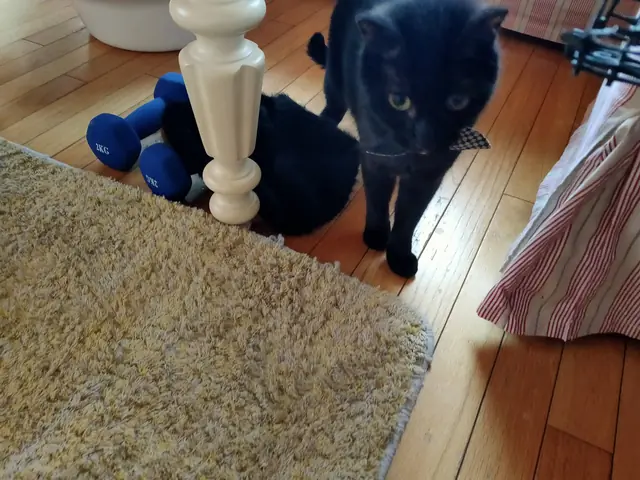 ユリとカナ