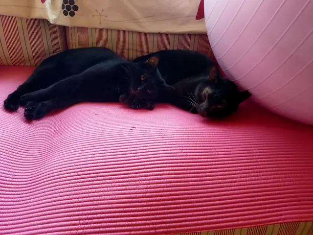 ユリとカナ