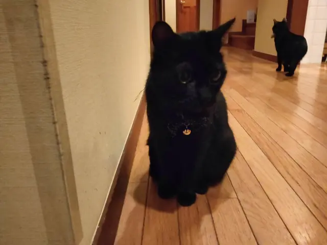 ユリとカナ