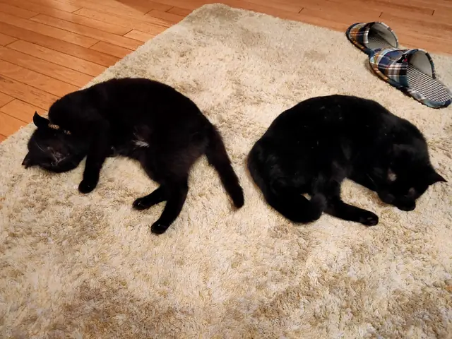 ユリとカナ